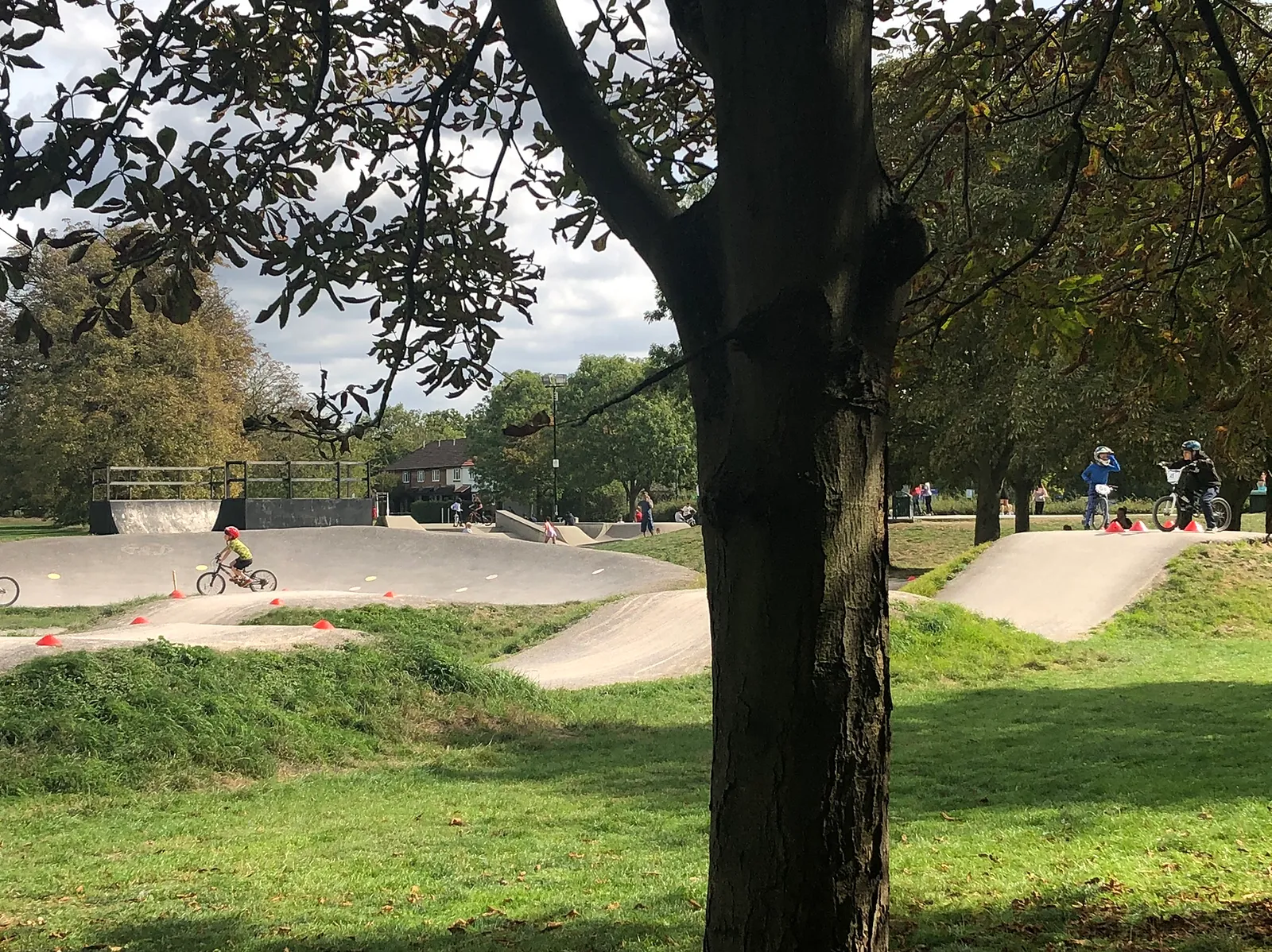 track with tree in front.jpeg